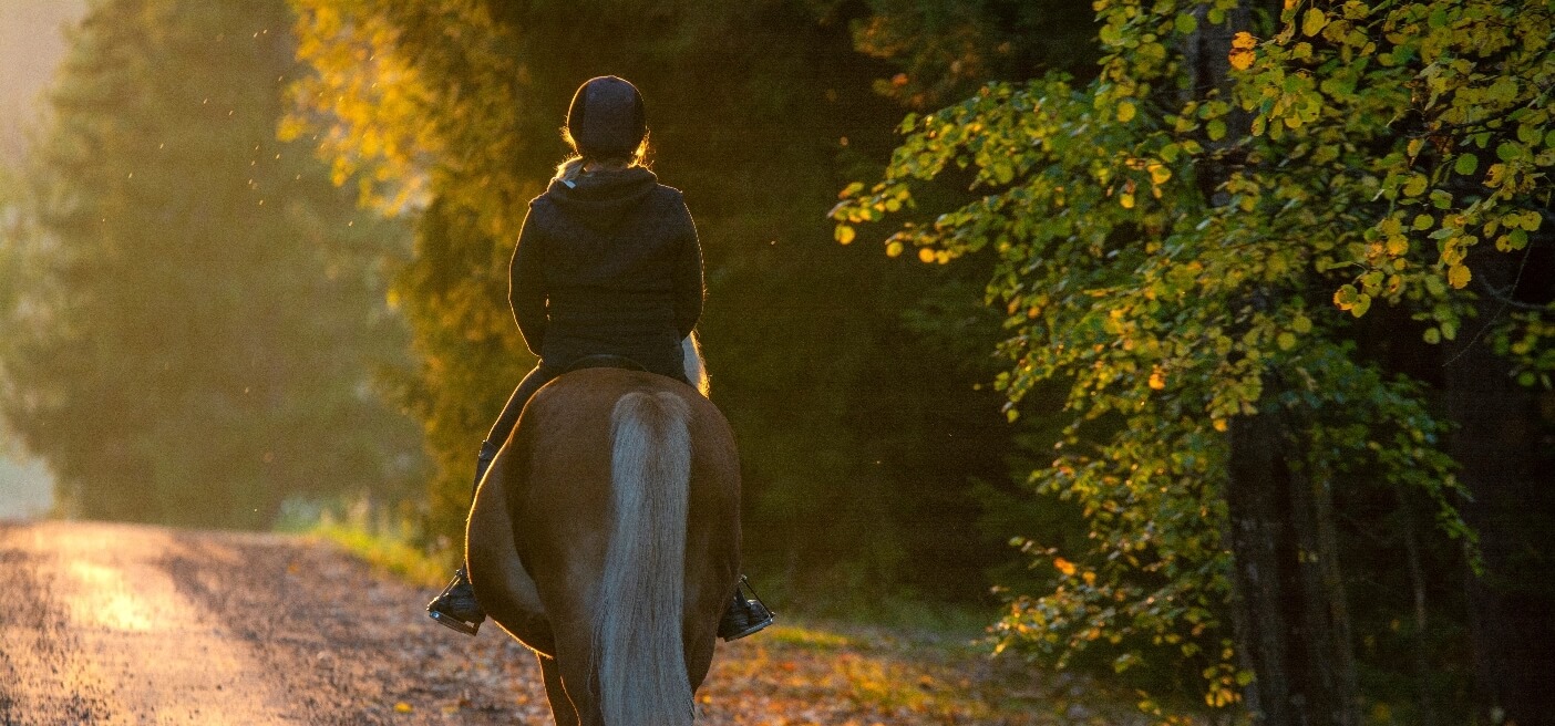 Dressage et entrainement