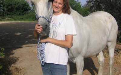 Balade à cheval pour enfants à Lançon - Les Écuries du Bosquet
