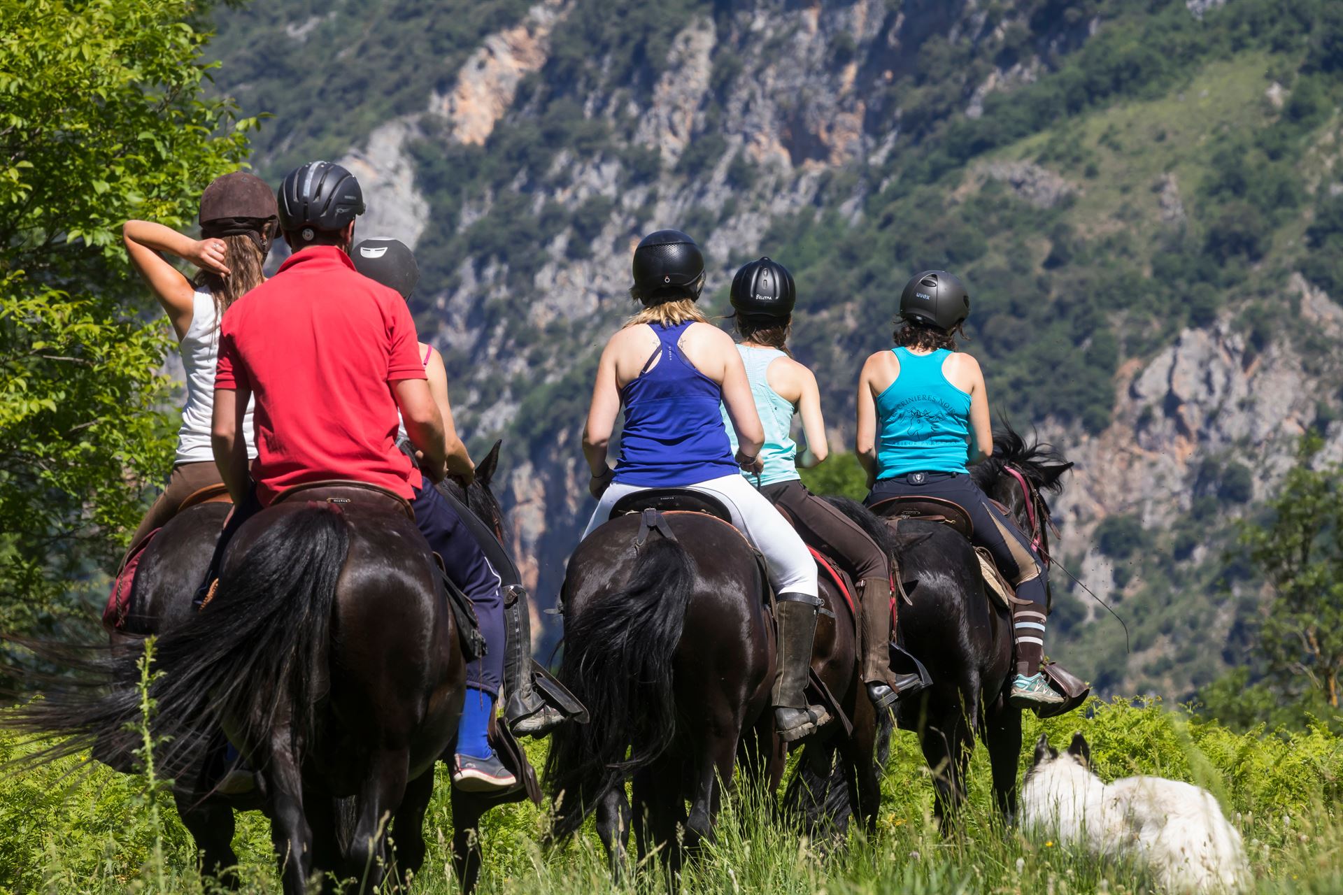 Balade à cheval pour débutants